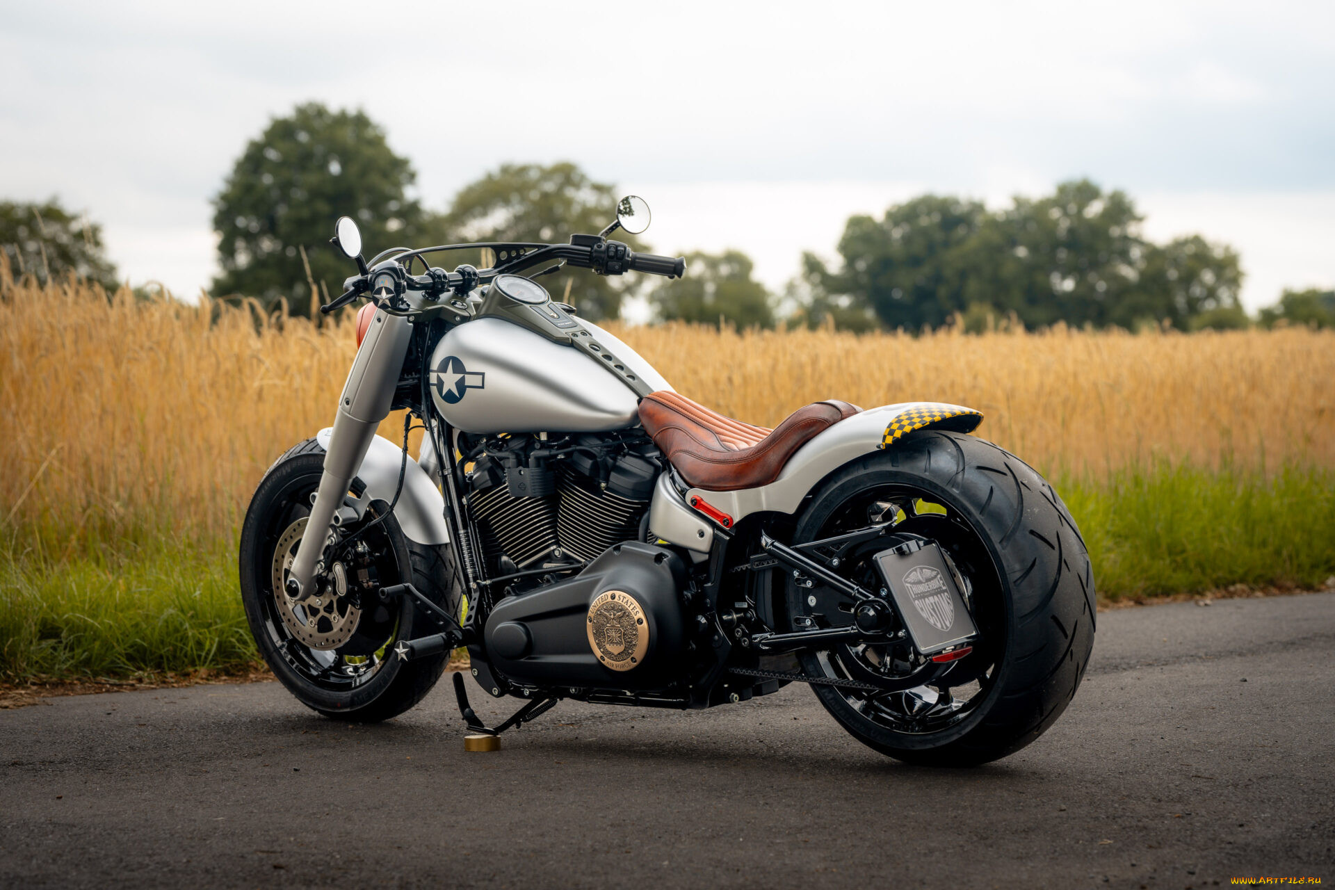 , harley-davidson, softail, fat, boy, 117, customized, custombikes, shimmy, iv